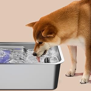 pet water fountain