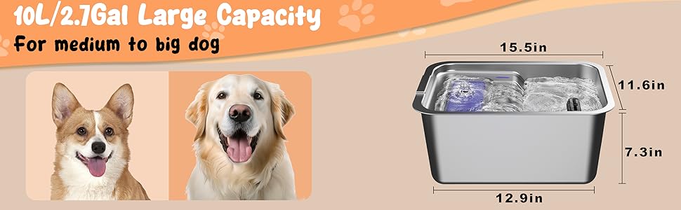 dog fountain water bowl