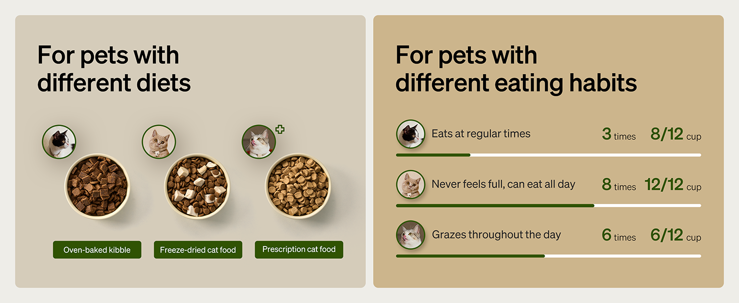 automatic cat feeder