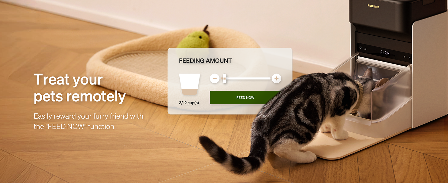 smart cat feeder