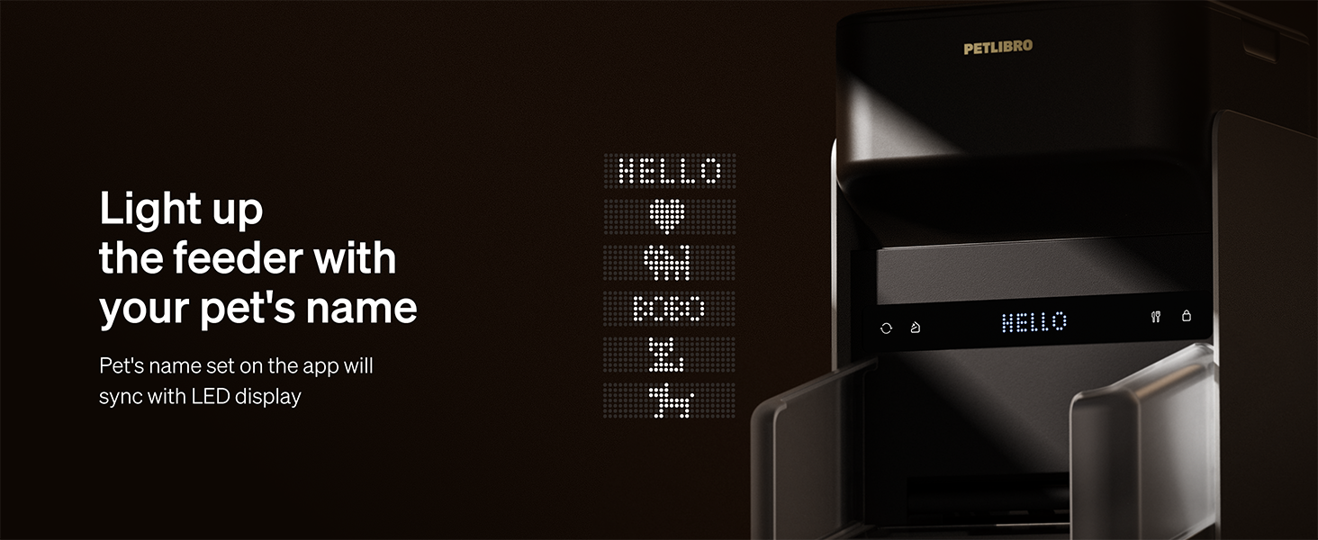automatic pet feeder