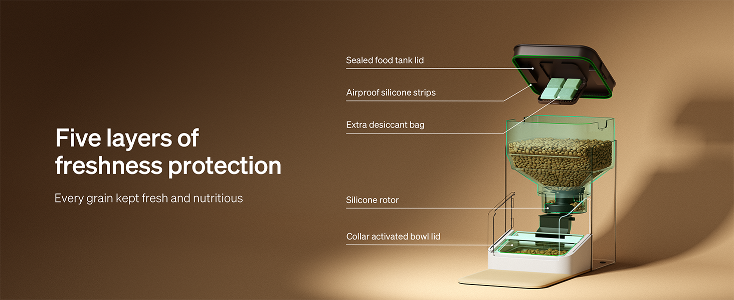 wifi automatic cat feeder