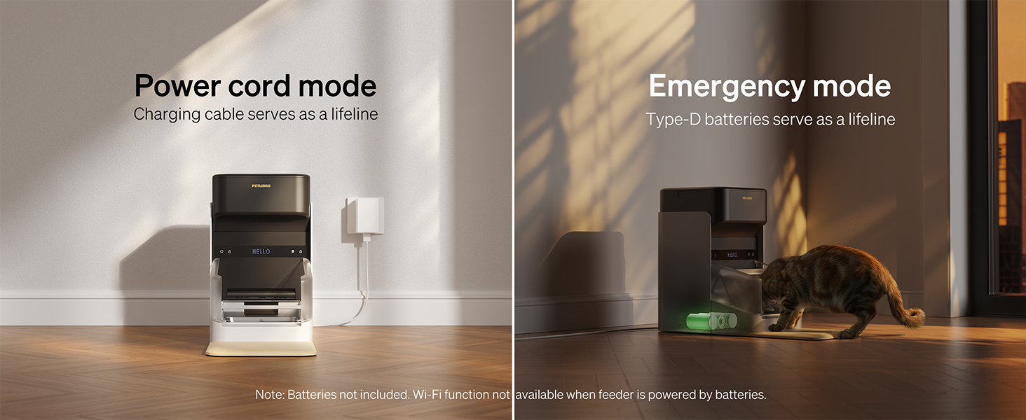 app controlled cat feeder