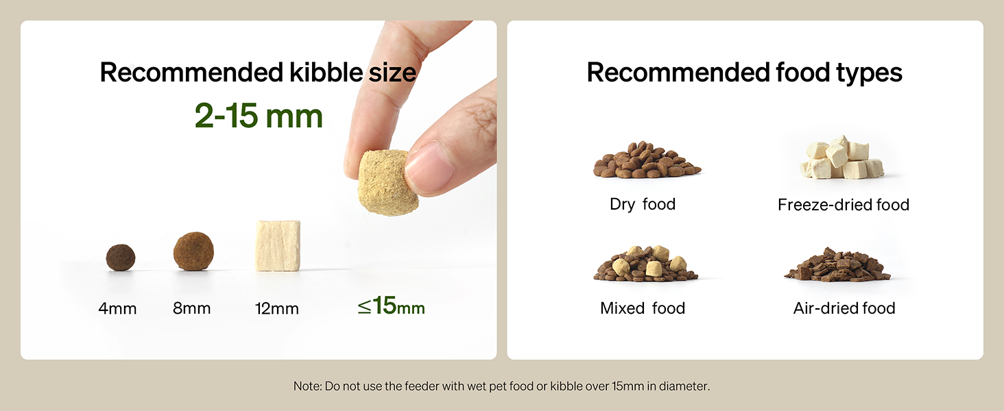 automatic cat feeder
