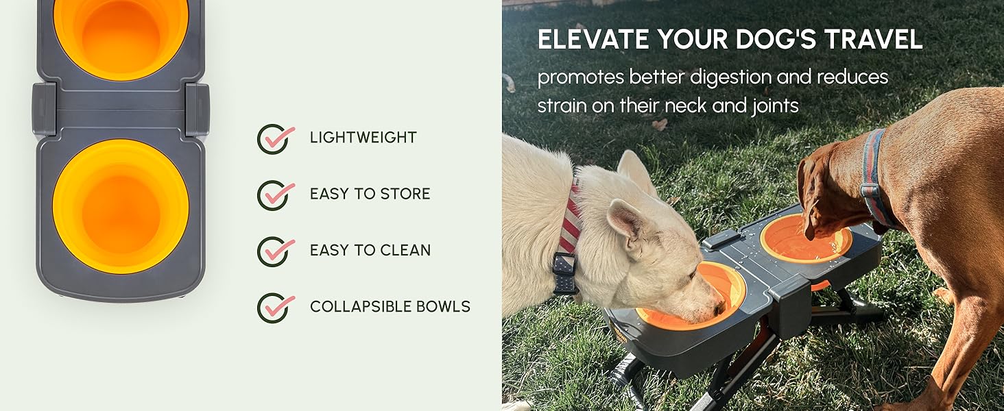 Elevate your dog&#39;s travel