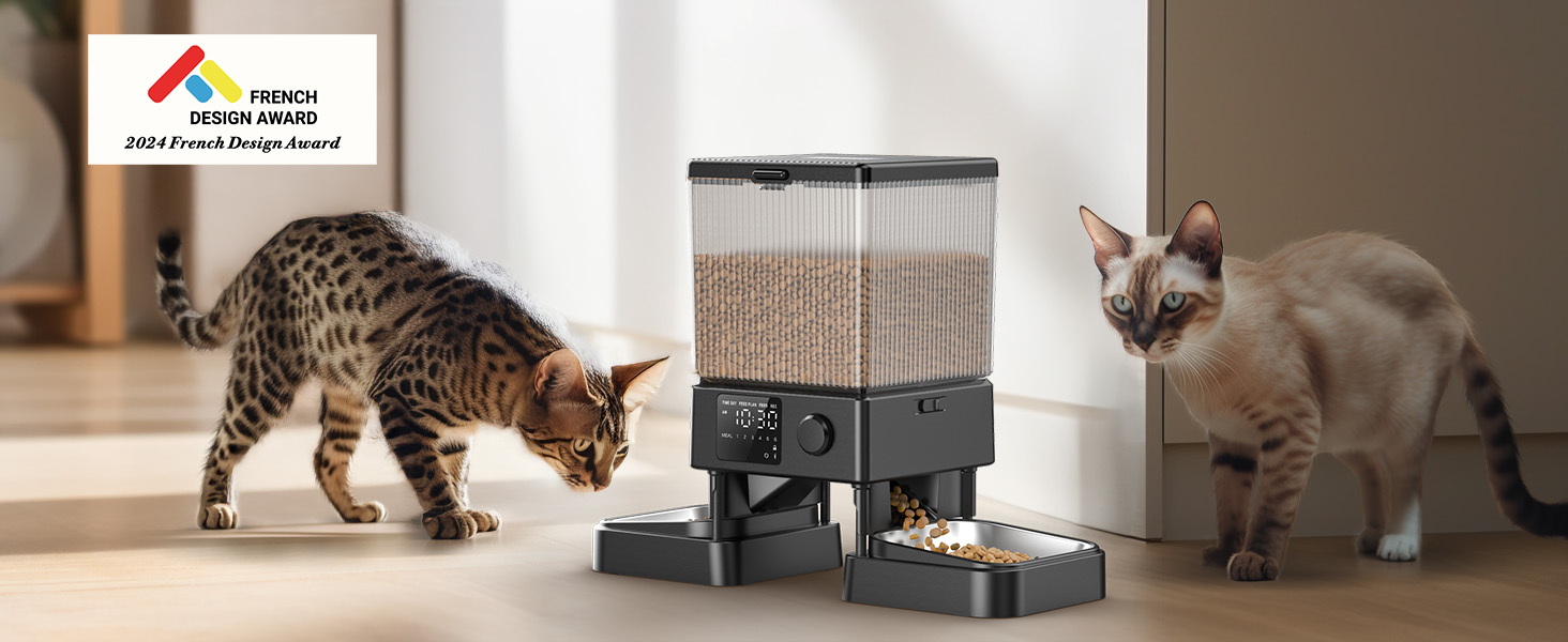 cat feeder for 2 cats