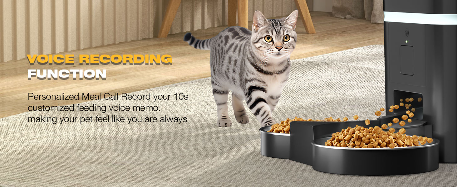 cat feeder, automatic cat feeder, pet feeder, automatic cat feeders, cat feeder automatic