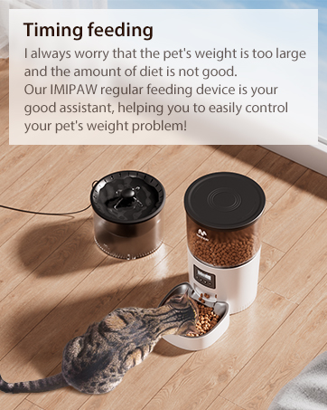cat feeder