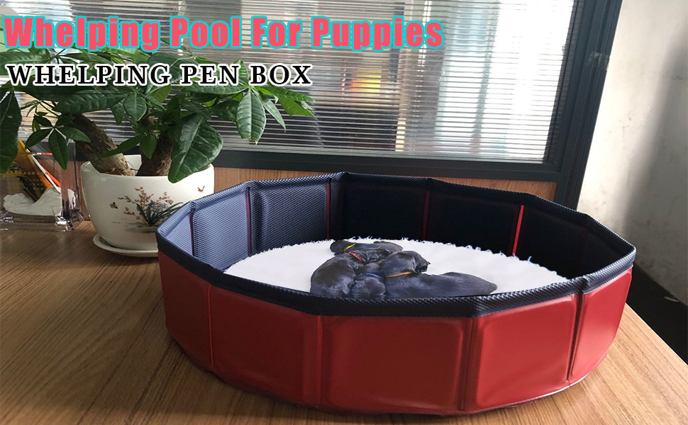 Whelping Box for Dogs
