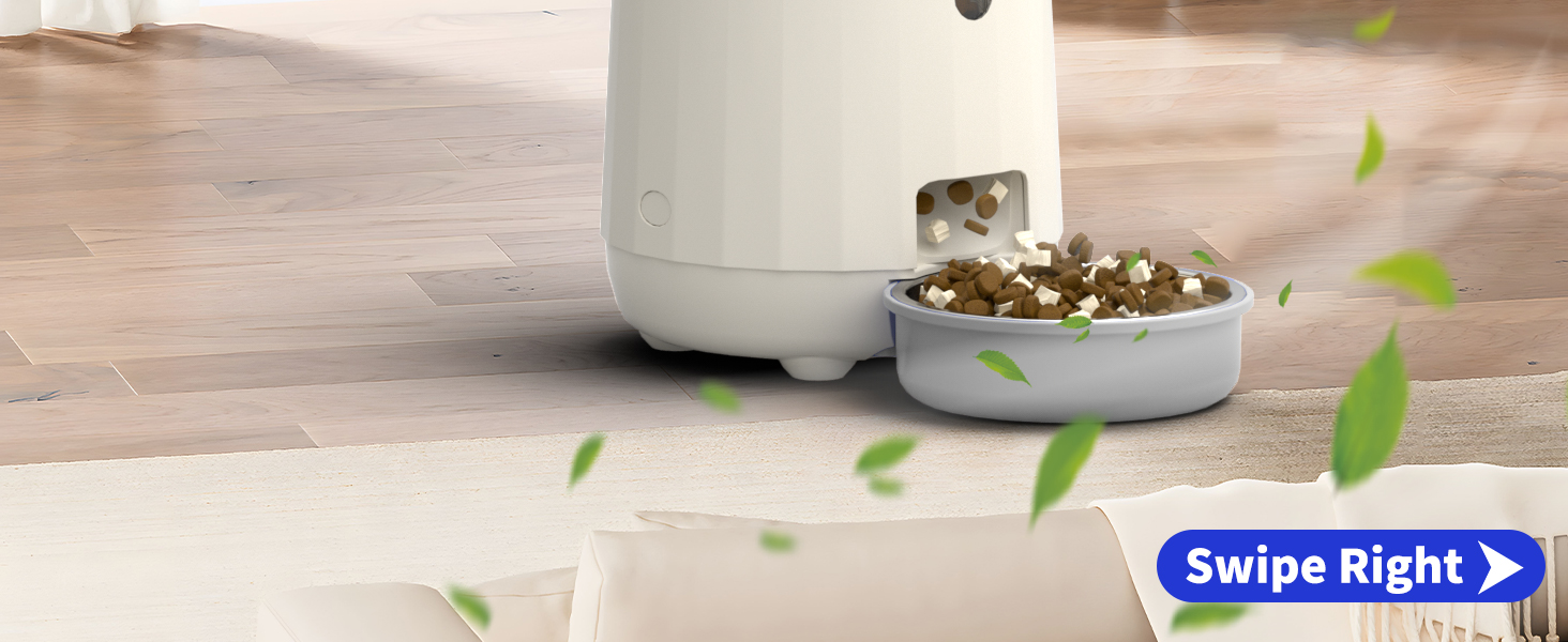 Automatic Cat Feeders