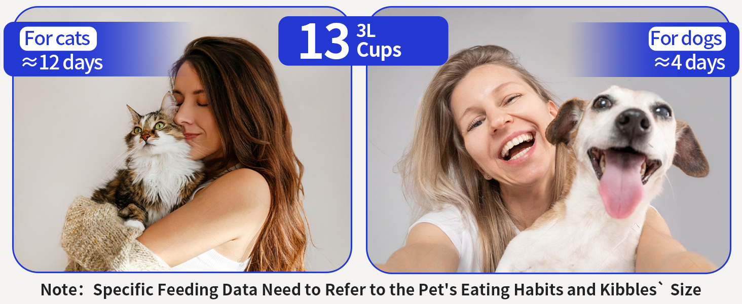 Automatic Cat Feeders