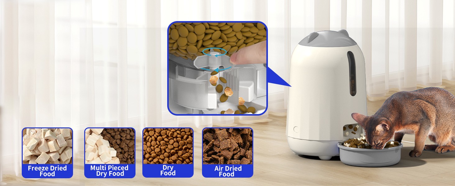 Automatic Cat Feeders
