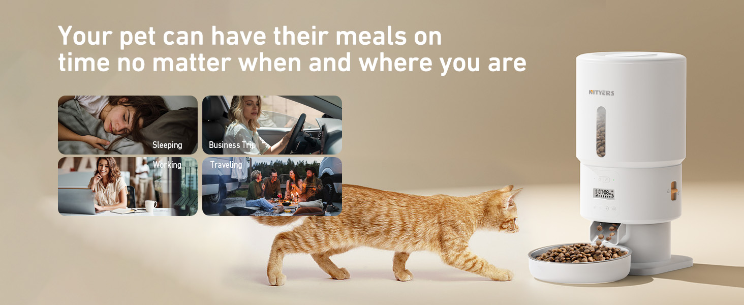 automatic cat feeder cat food dispenser