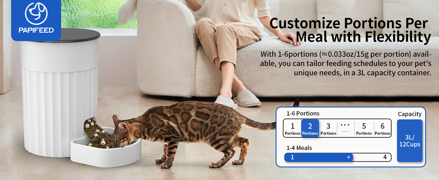 timed cat feeder