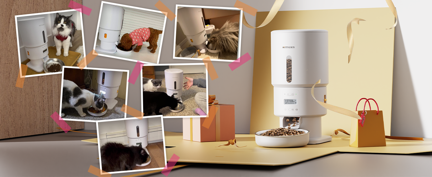 automatic cat feeder