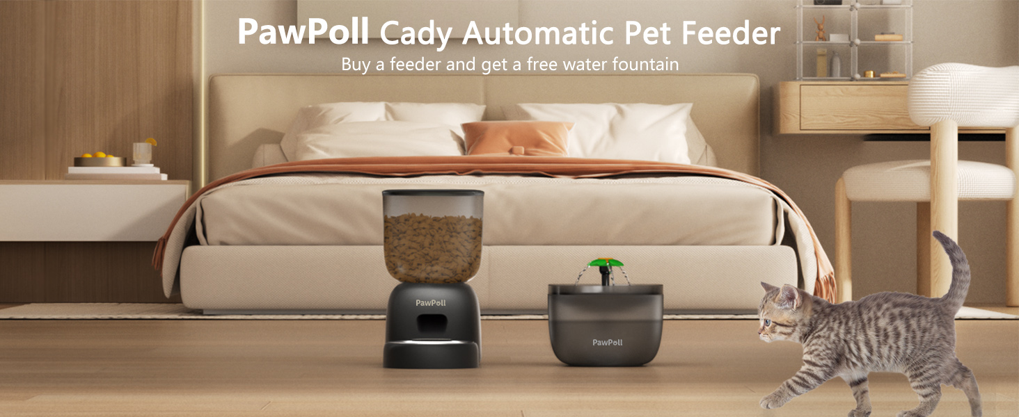 cat feeder and water dispenser