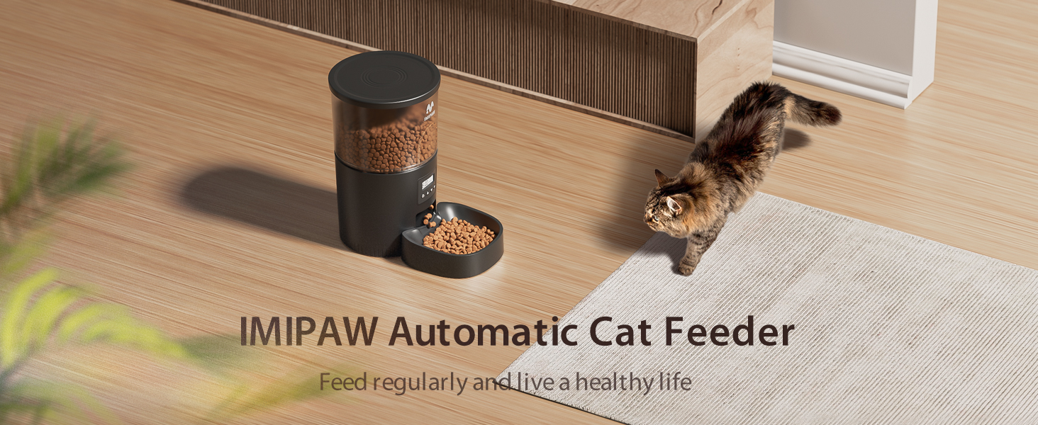 cat feeder