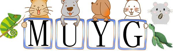 Small Dog Puppy Potty Tray, Suitable for Apartment and Patio Training