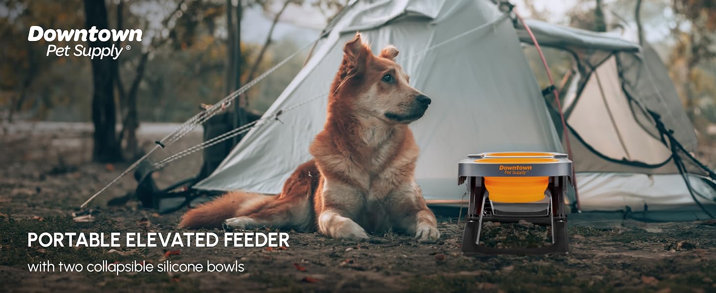 Portable Elevated Feeder
