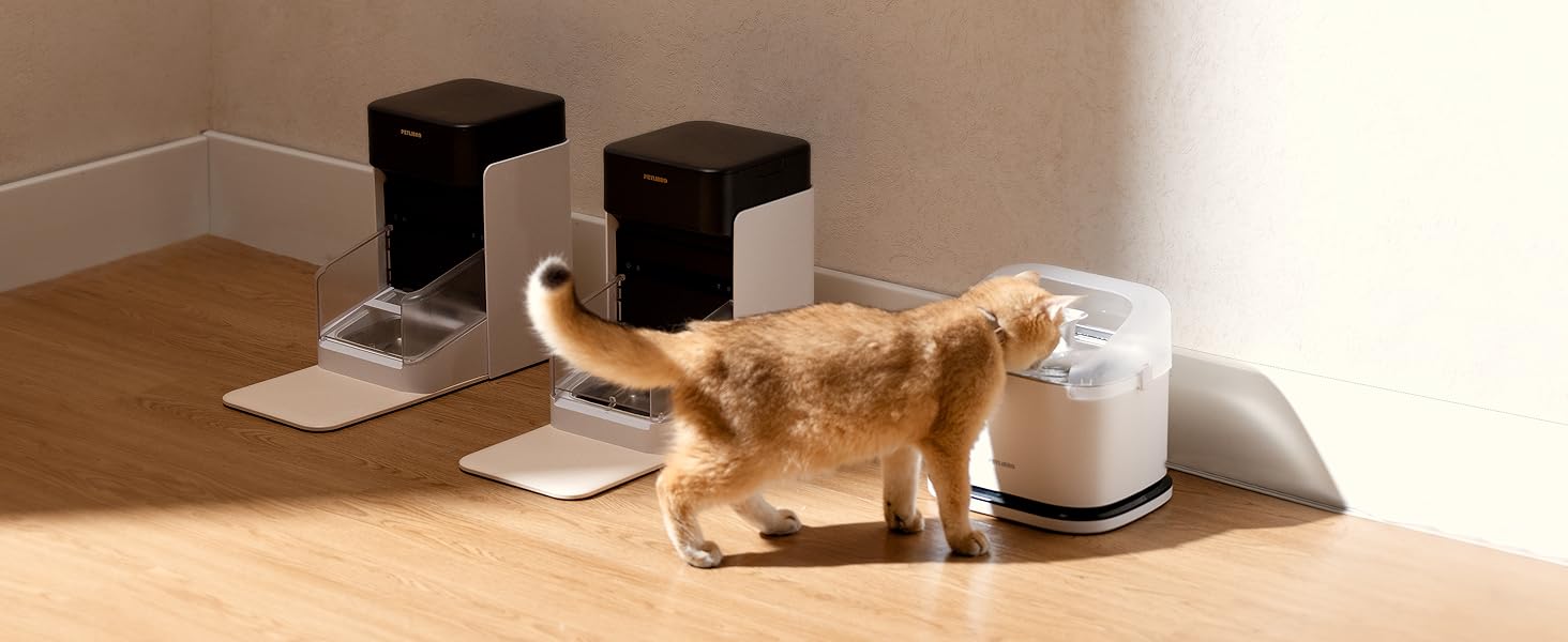 automatic cat feeder