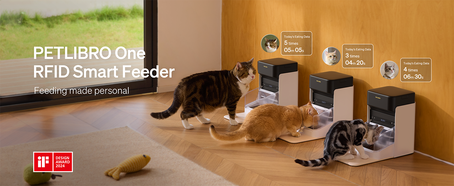 automatic cat feeder