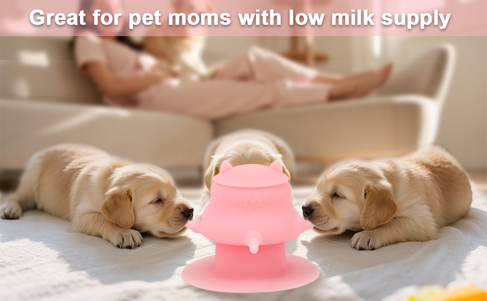 puppy milk replacement