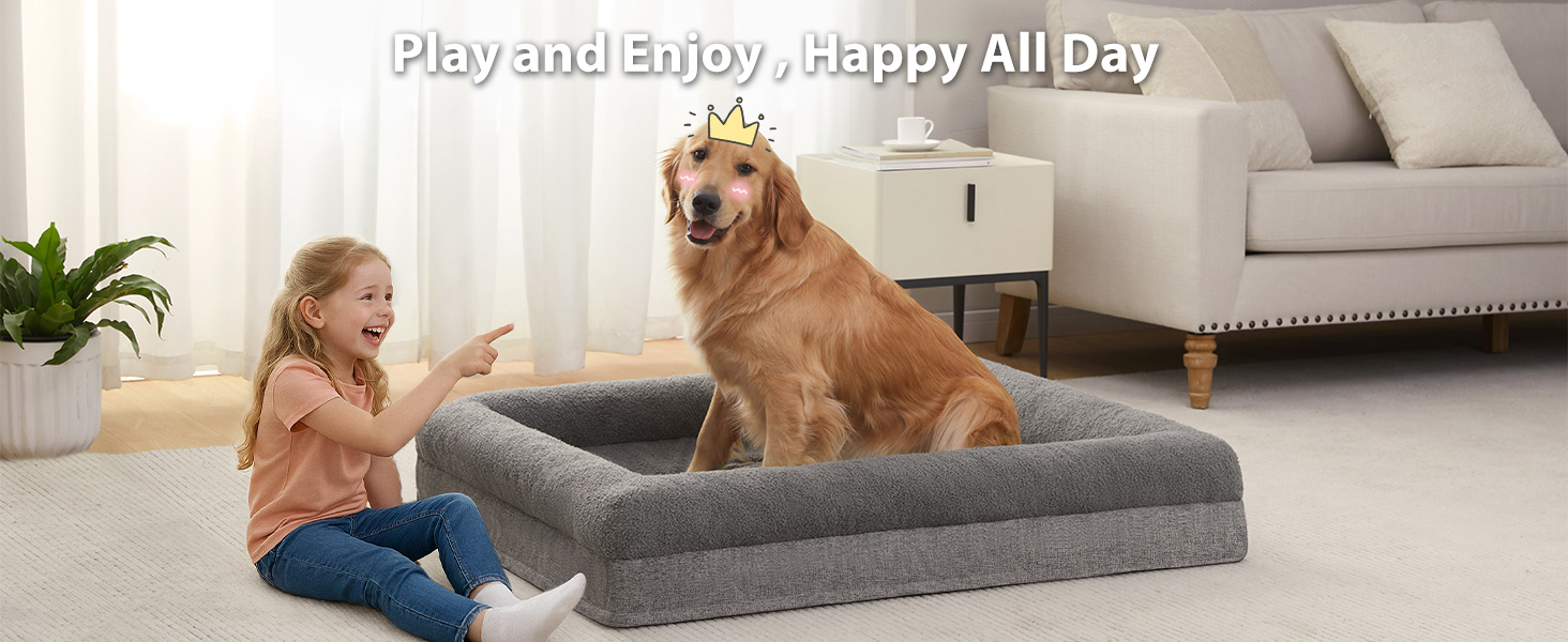 large dog bed play with pets enjoy fun
