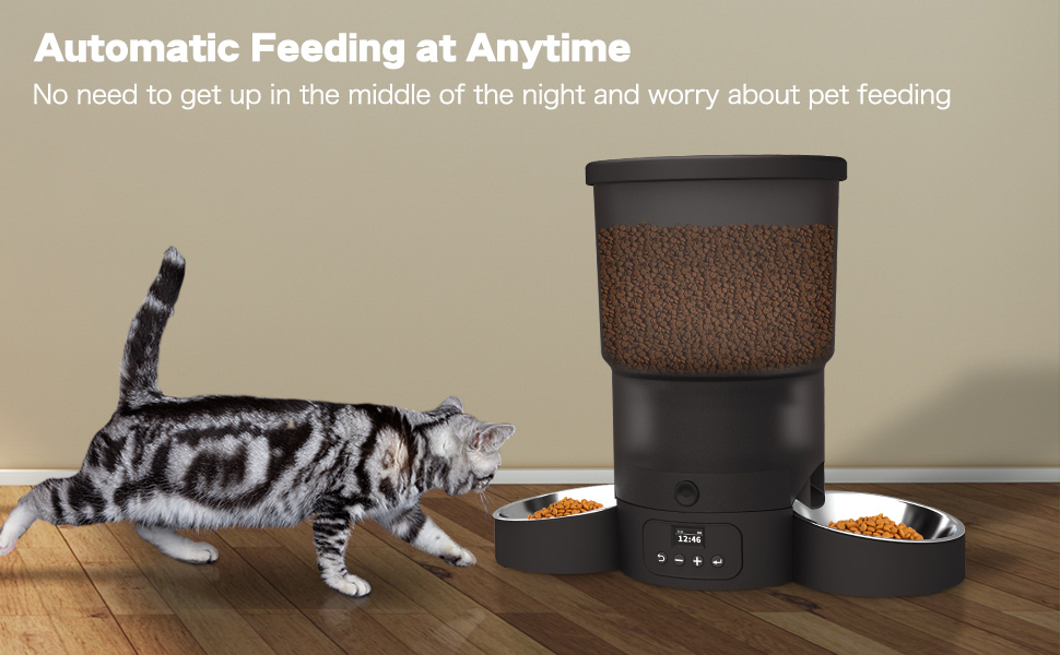 Automatic Cat Feeder for 2 Cats