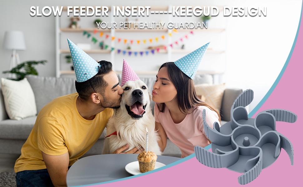 slow feeder