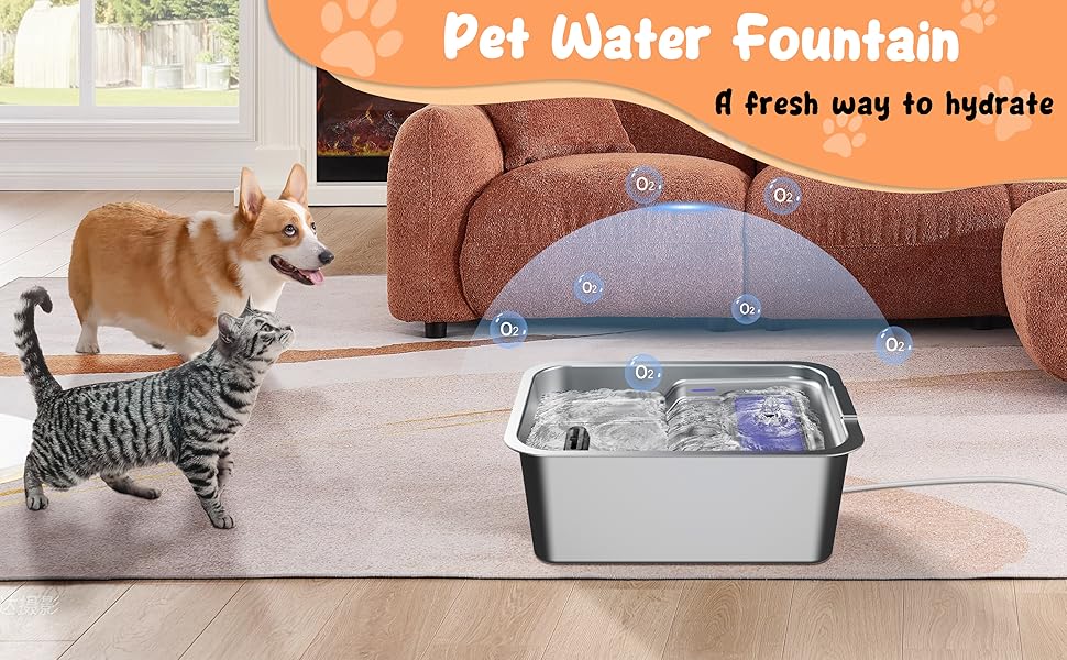 dog fountain water