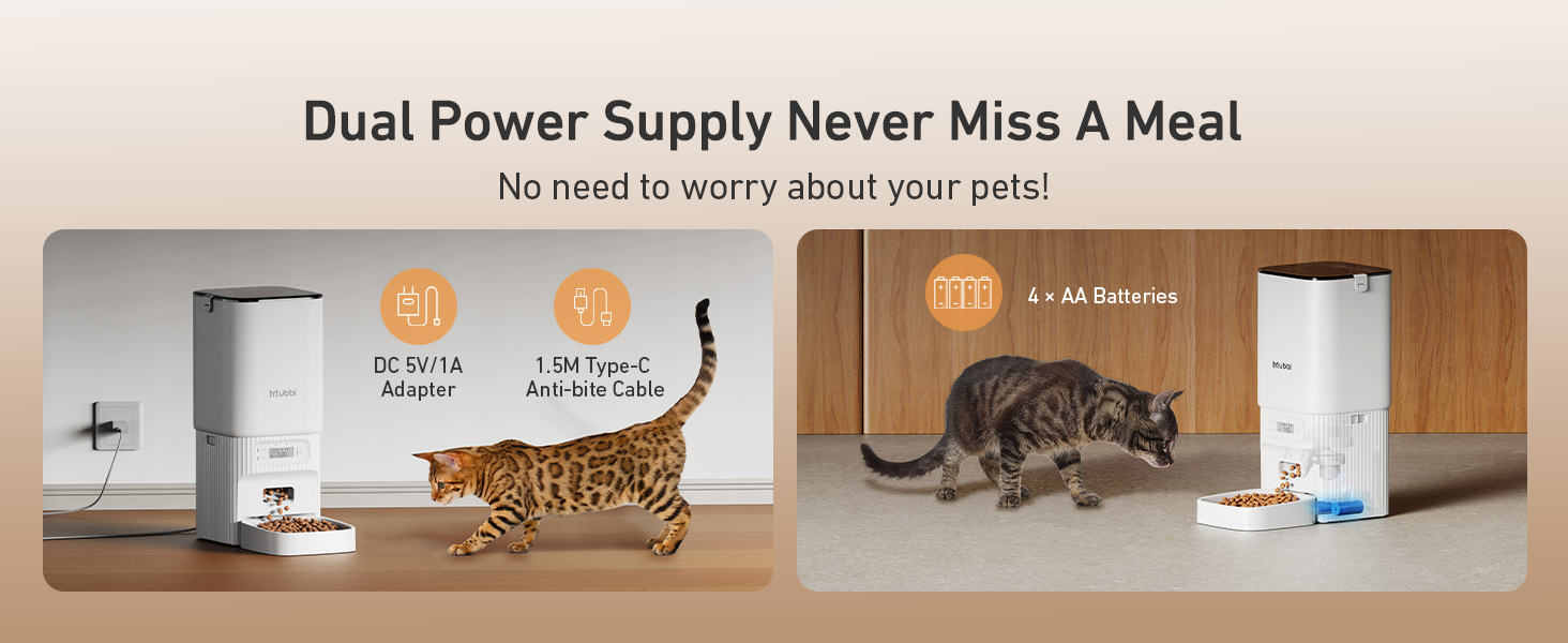 automatic cat feeder
