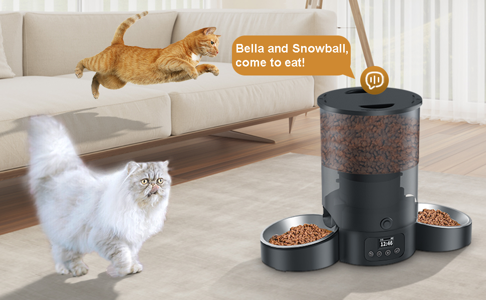 Pet Feeder