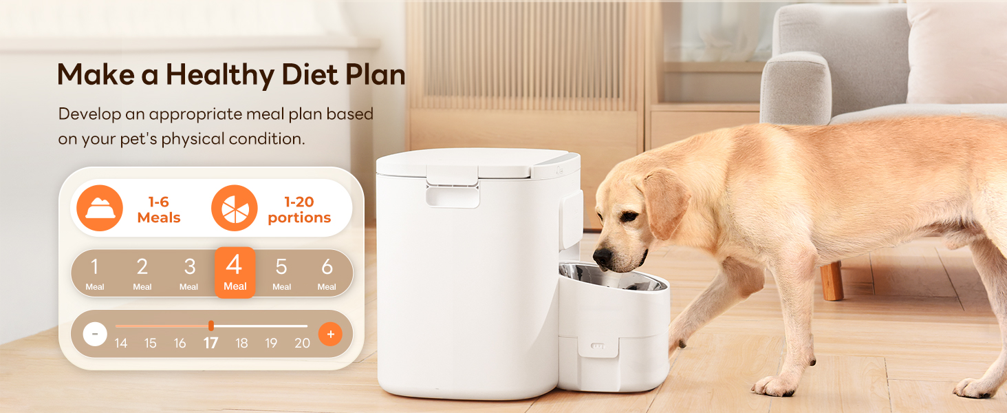 Large Dog Feeder