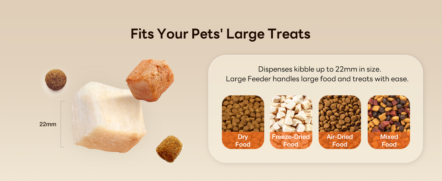Large Dog Feeder 5