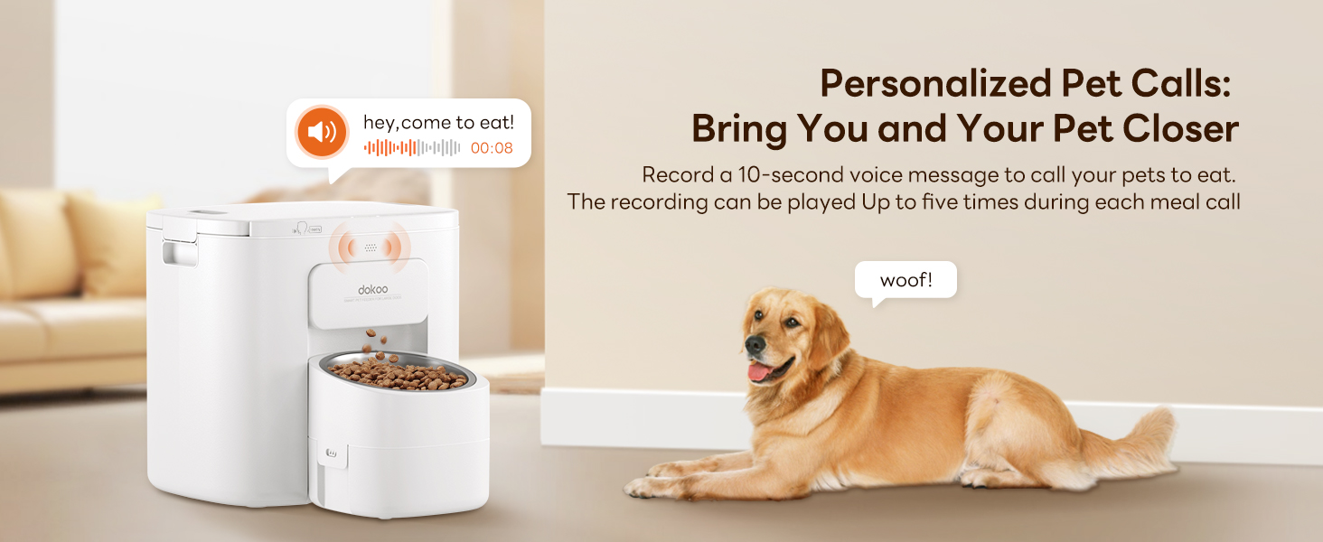 Large Dog Feeder 10