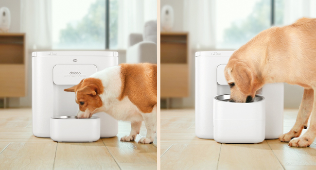 Large dog feeder