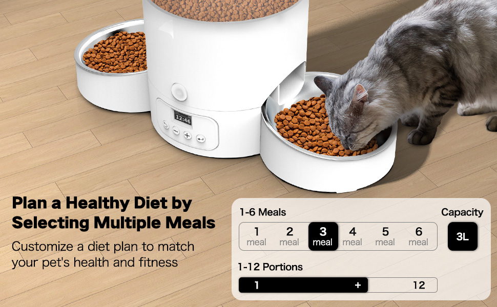 Automatic Cat Feeder