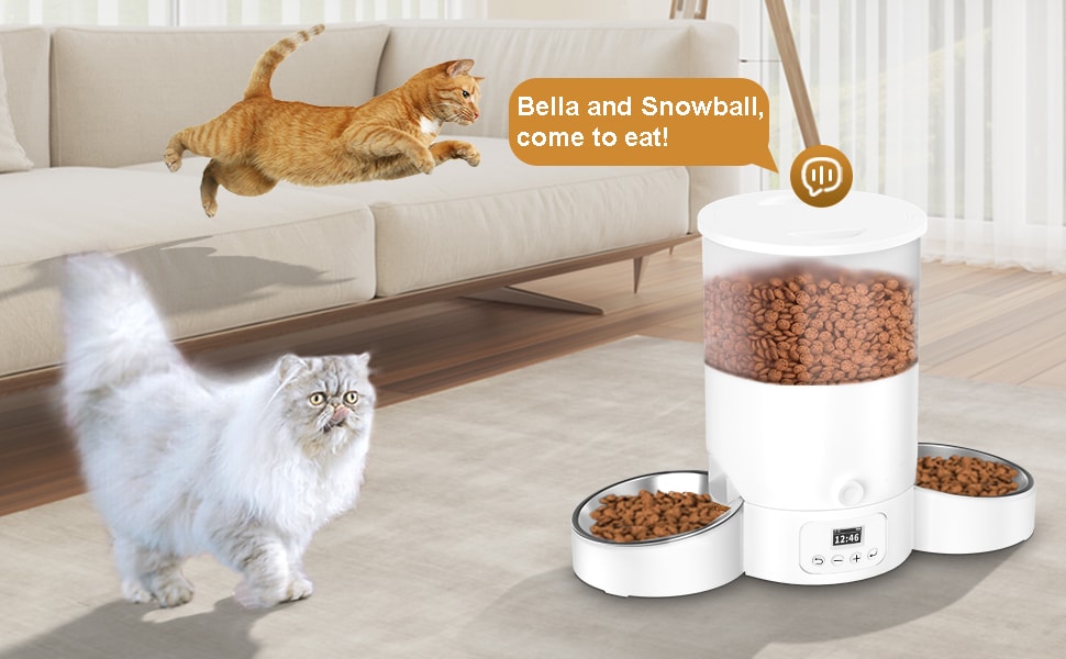 automatic cat feeder cat feeder automatic cat automatic feeder automatic feeder cat dry food  