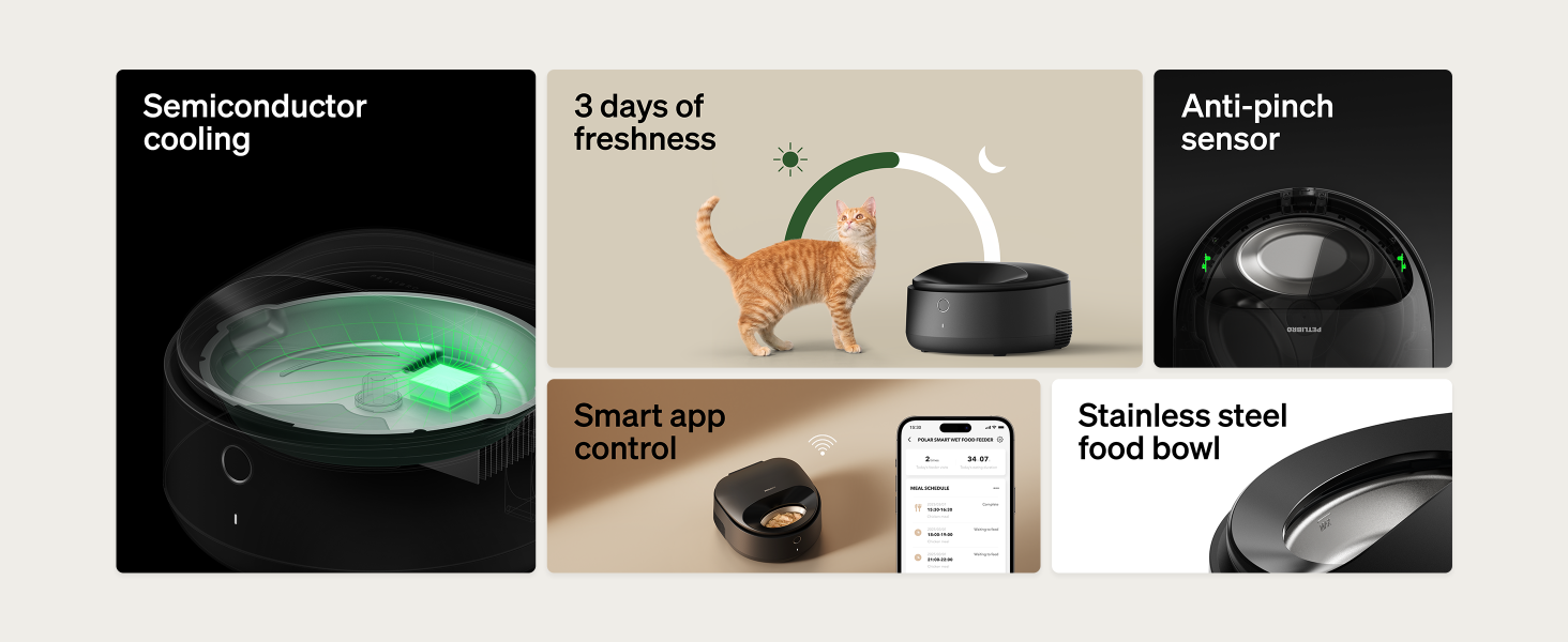 automatic cat feeder wet food