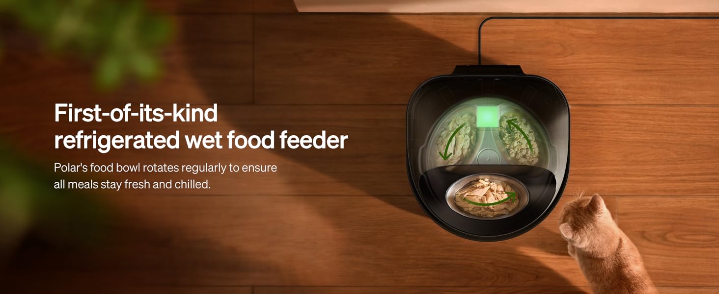 cat feeder automatic