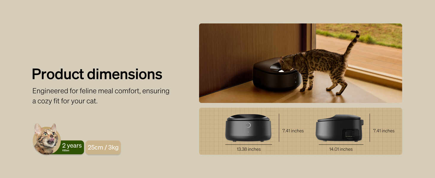 automatic wet cat food feeder