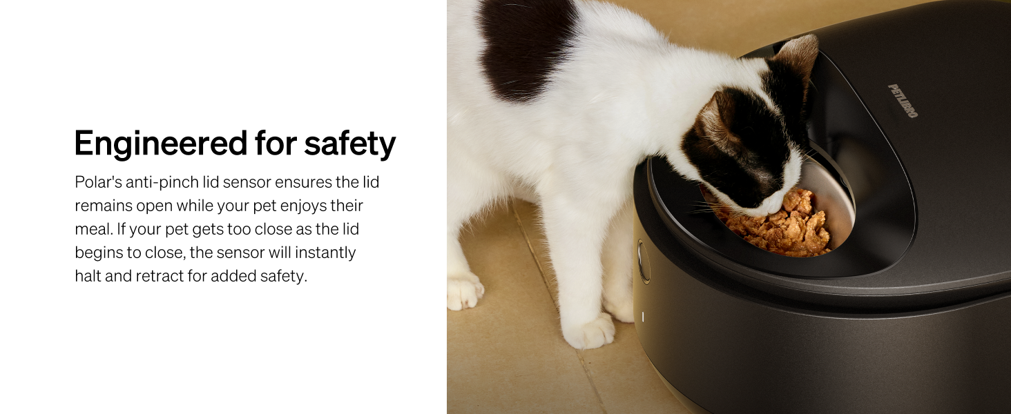 cat wet food automatic feeder