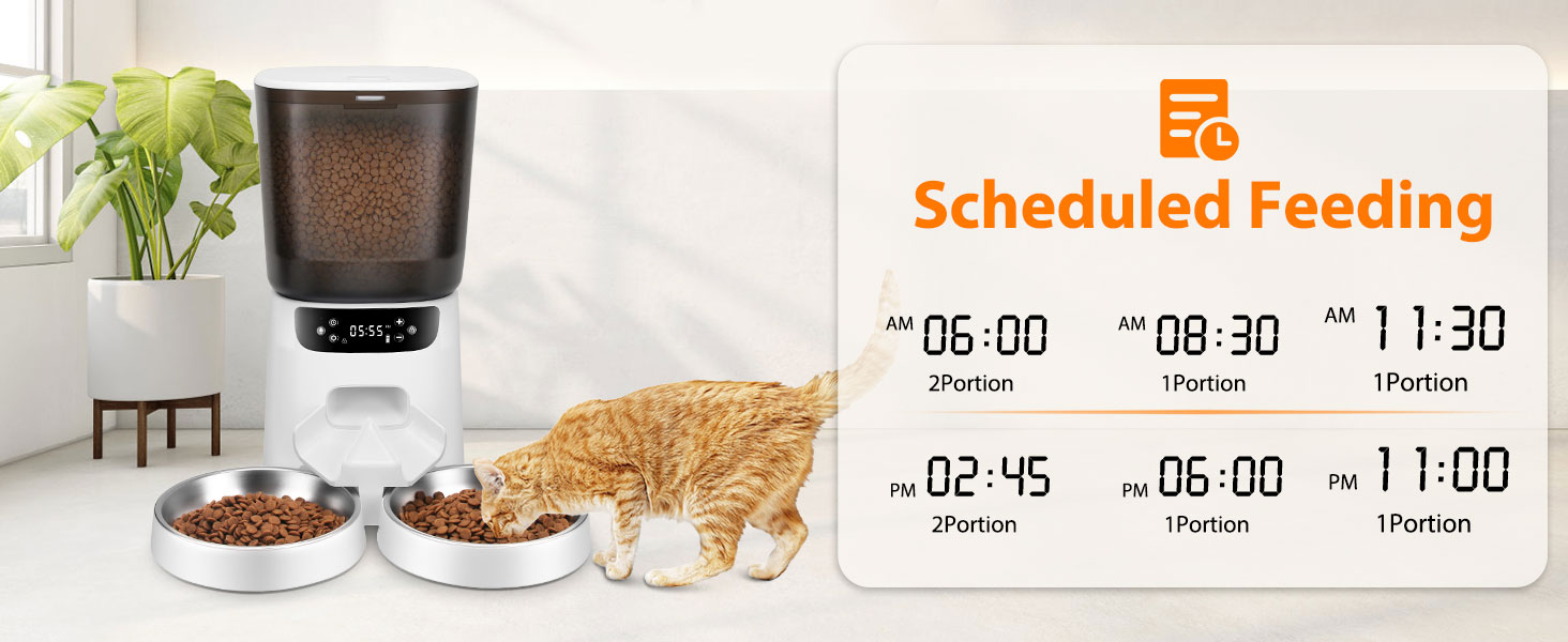 dual automatic cat feeder