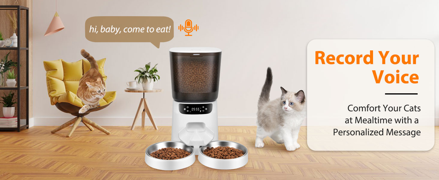 automatic cat feeder 2 cats