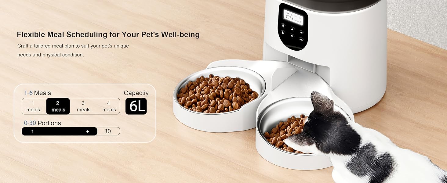 Automatic Cat Feeder