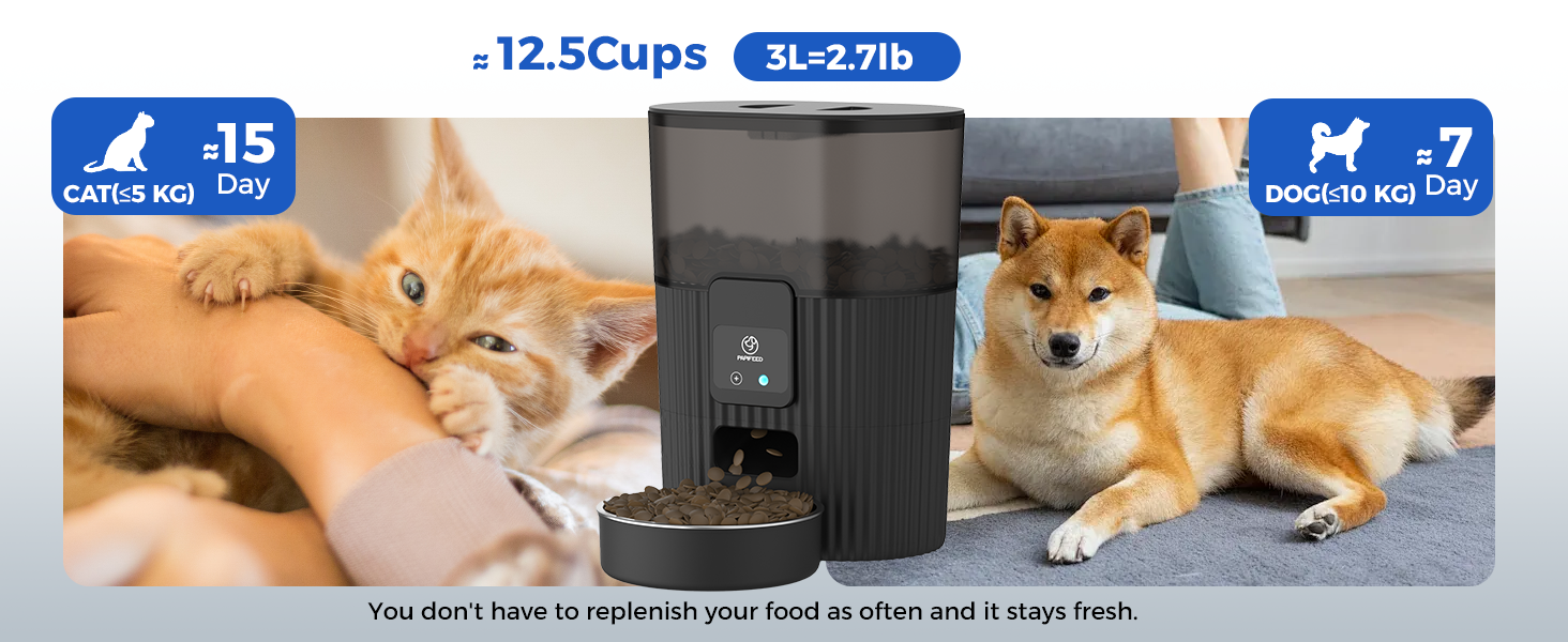cat feeder 