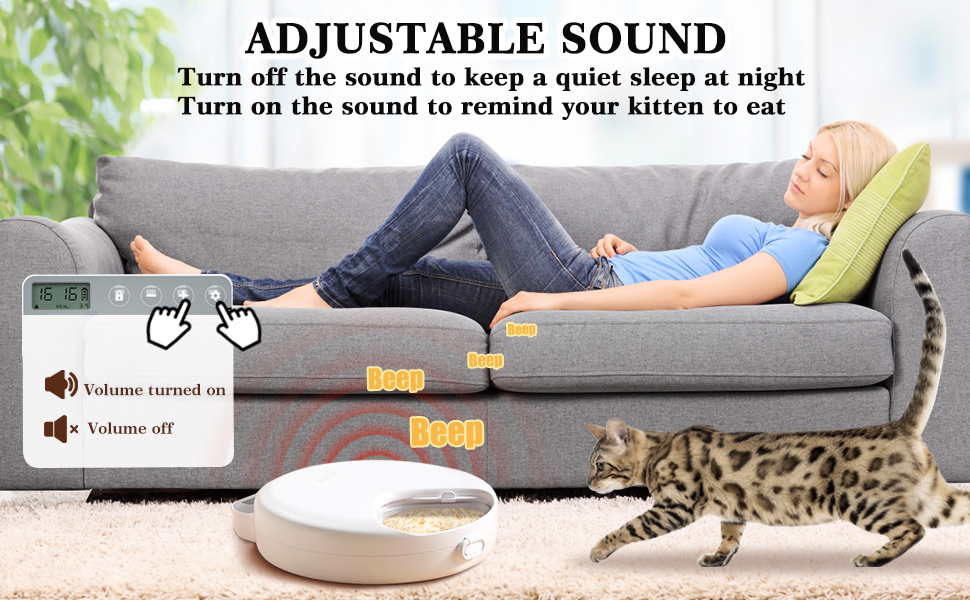 cat food dispenser