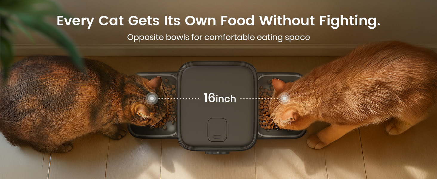 oneisall automatic cat feeder for 2 cats