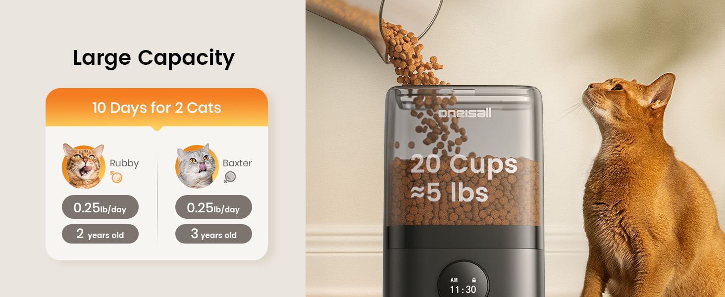 oneisall automatic cat feeder for 2 cats