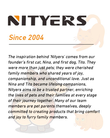 Brand name origin